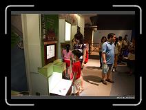 IMG_4680 * 900 x 644 * (257KB)