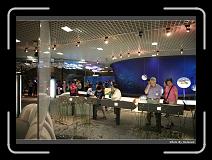 IMG_4693 * 900 x 644 * (280KB)