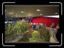 IMG_4694 * 900 x 644 * (297KB)