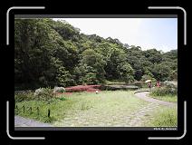 IMG_4859 * 900 x 644 * (289KB)