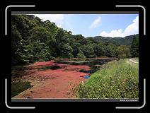 IMG_4860 * 900 x 644 * (295KB)