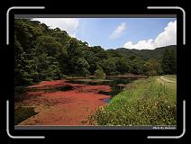 IMG_4863 * 900 x 644 * (292KB)