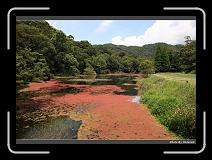 IMG_4864 * 900 x 644 * (294KB)