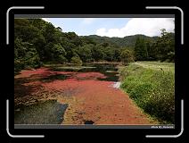 IMG_4866 * 900 x 644 * (297KB)
