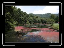 IMG_4867 * 900 x 644 * (293KB)