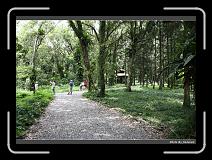 IMG_4889 * 900 x 644 * (297KB)
