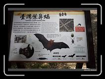 IMG_4903 * 900 x 644 * (292KB)