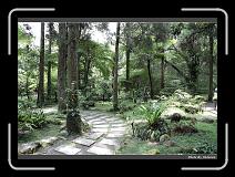 IMG_4906 * 900 x 644 * (292KB)