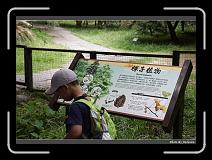 IMG_4907 * 900 x 644 * (297KB)