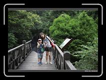 IMG_4915 * 900 x 644 * (286KB)