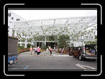 IMG_4922 * 900 x 644 * (278KB)