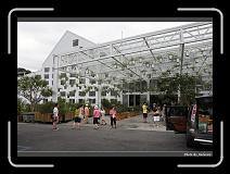 IMG_4923 * 900 x 644 * (299KB)