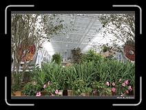 IMG_4924 * 900 x 644 * (292KB)