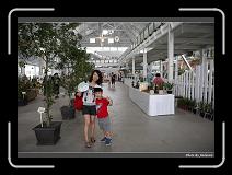 IMG_4927 * 900 x 644 * (276KB)