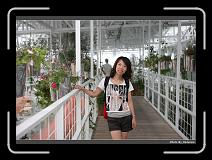 IMG_4958 * 900 x 644 * (275KB)