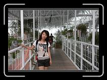 IMG_4959 * 900 x 644 * (300KB)