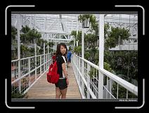 IMG_4963 * 900 x 644 * (287KB)