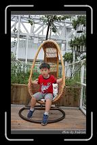 IMG_4964 * 600 x 966 * (300KB)