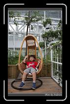 IMG_4965 * 600 x 966 * (285KB)