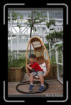 IMG_4967 * 600 x 966 * (293KB)