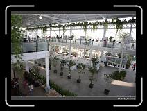 IMG_4968 * 900 x 644 * (276KB)