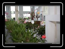 IMG_4970 * 900 x 644 * (275KB)