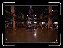 IMG_5024 * 900 x 644 * (282KB)