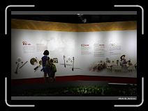 IMG_5238 * 900 x 644 * (239KB)
