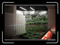 IMG_5244 * 900 x 644 * (281KB)