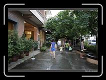 IMG_5251 * 900 x 644 * (292KB)