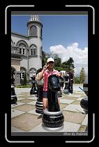 IMG_5335 * 600 x 966 * (287KB)