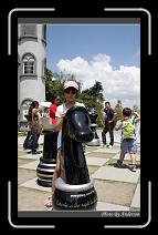 IMG_5340 * 600 x 966 * (297KB)