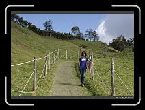 IMG_5368 * 900 x 644 * (293KB)
