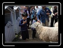 IMG_5371 * 900 x 644 * (283KB)