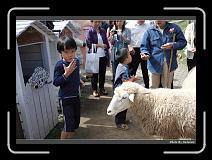 IMG_5372 * 900 x 644 * (296KB)