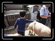 IMG_5379 * 900 x 644 * (295KB)