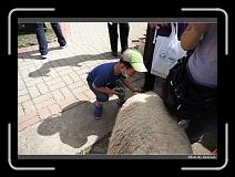 IMG_5382 * 900 x 644 * (279KB)