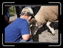 IMG_5383 * 900 x 644 * (286KB)