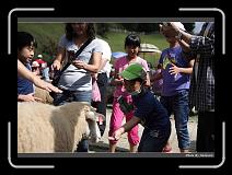 IMG_5385 * 900 x 644 * (285KB)