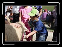 IMG_5386 * 900 x 644 * (289KB)