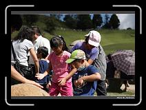 IMG_5388 * 900 x 644 * (270KB)