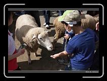 IMG_5389 * 900 x 644 * (260KB)