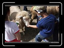 IMG_5390 * 900 x 644 * (262KB)