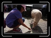 IMG_5393 * 900 x 644 * (267KB)