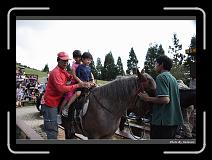 IMG_5397 * 900 x 644 * (271KB)