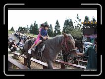 IMG_5399 * 900 x 644 * (279KB)