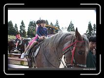 IMG_5405 * 900 x 644 * (291KB)