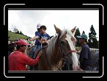 IMG_5418 * 900 x 644 * (275KB)