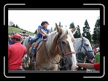 IMG_5419 * 900 x 644 * (266KB)