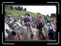 IMG_5423 * 900 x 644 * (284KB)